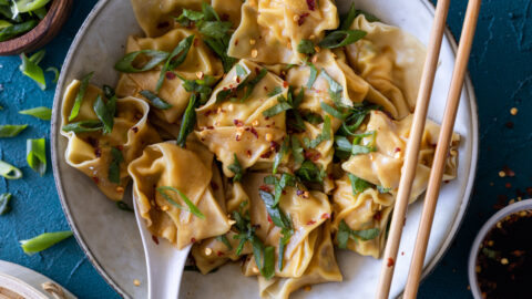 lemongrass-chicken-wontons-6-